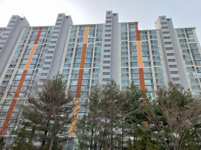 컨텐츠파일