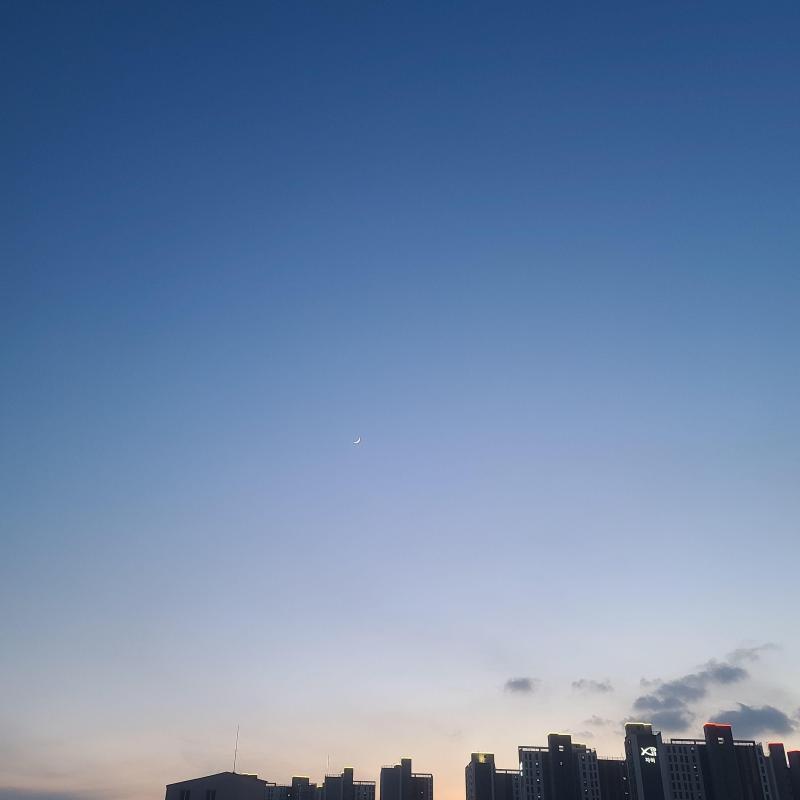 컨텐츠파일
