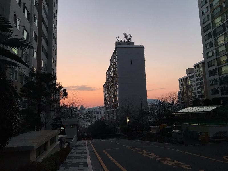 컨텐츠파일