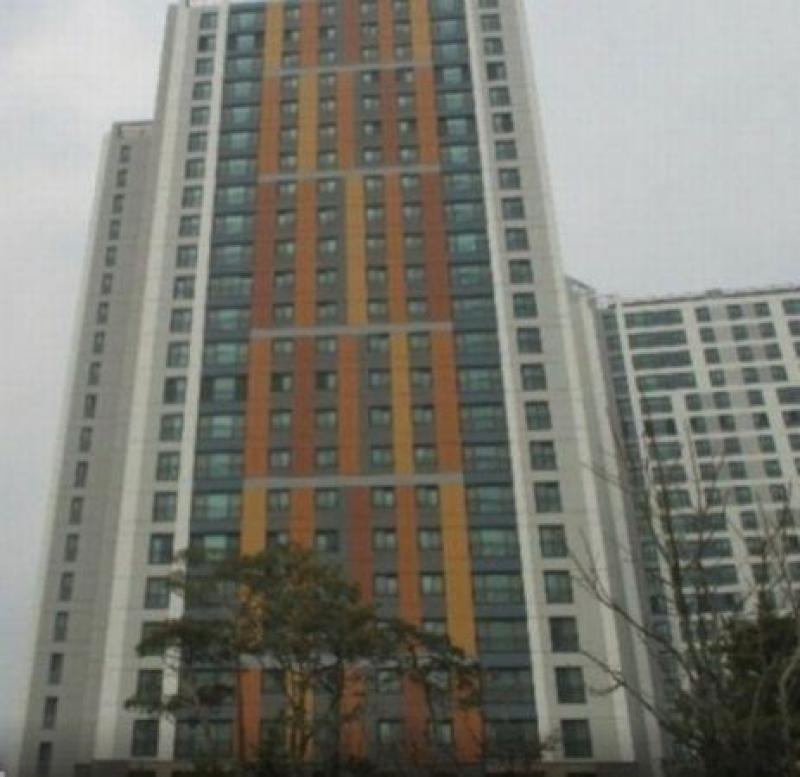 컨텐츠파일