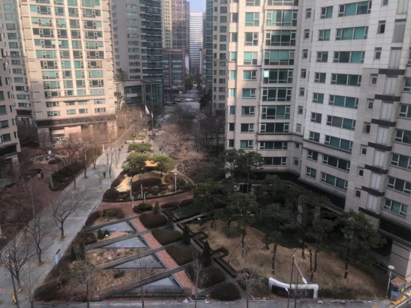 자몽