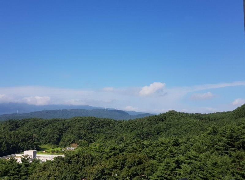 컨텐츠파일