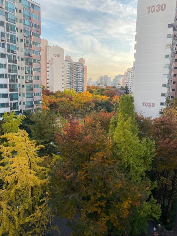 컨텐츠파일