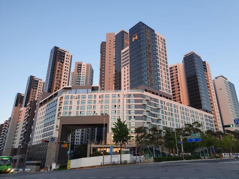 도경도현마미