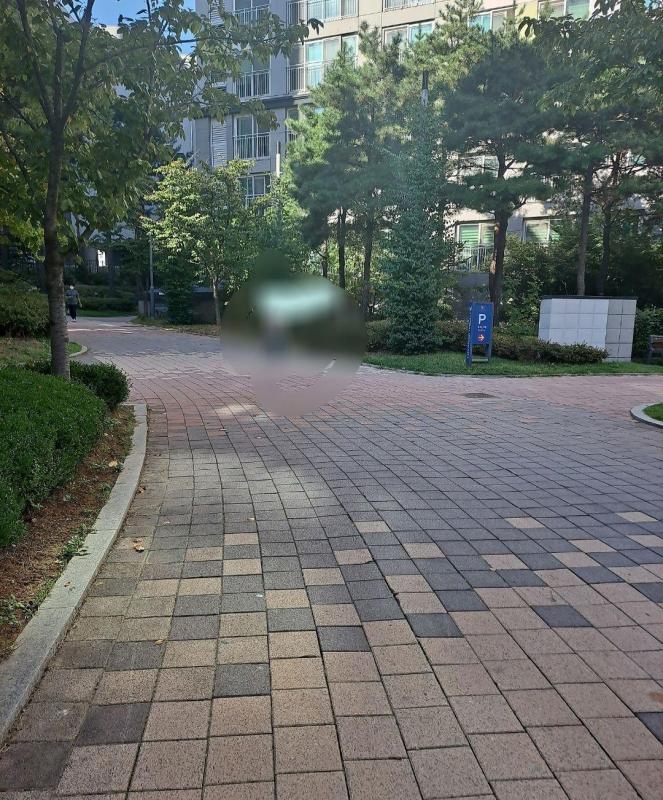 컨텐츠파일