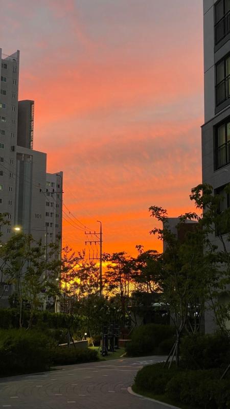 컨텐츠파일