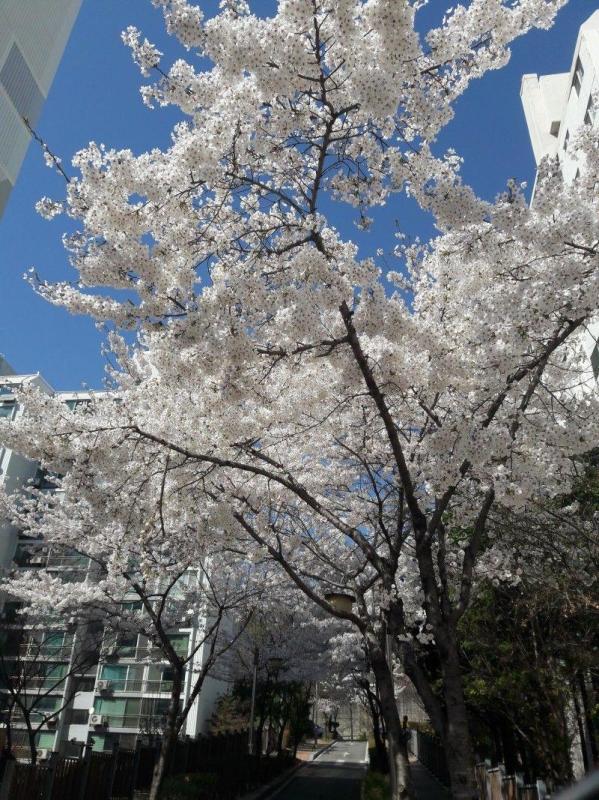 컨텐츠파일