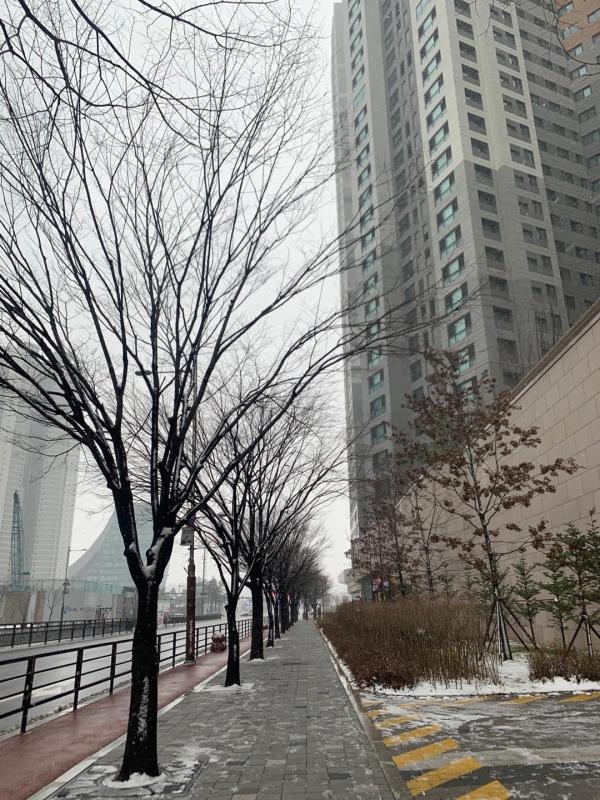 컨텐츠파일
