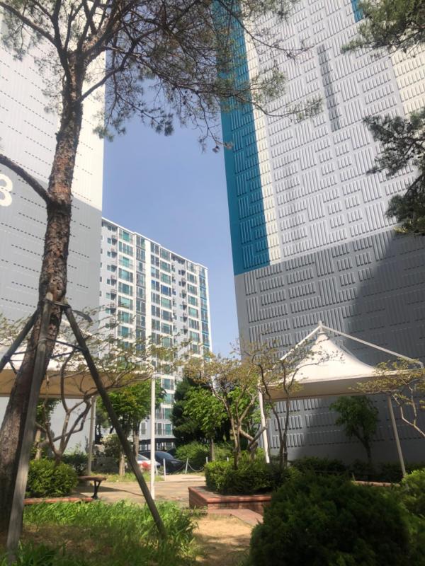 컨텐츠파일