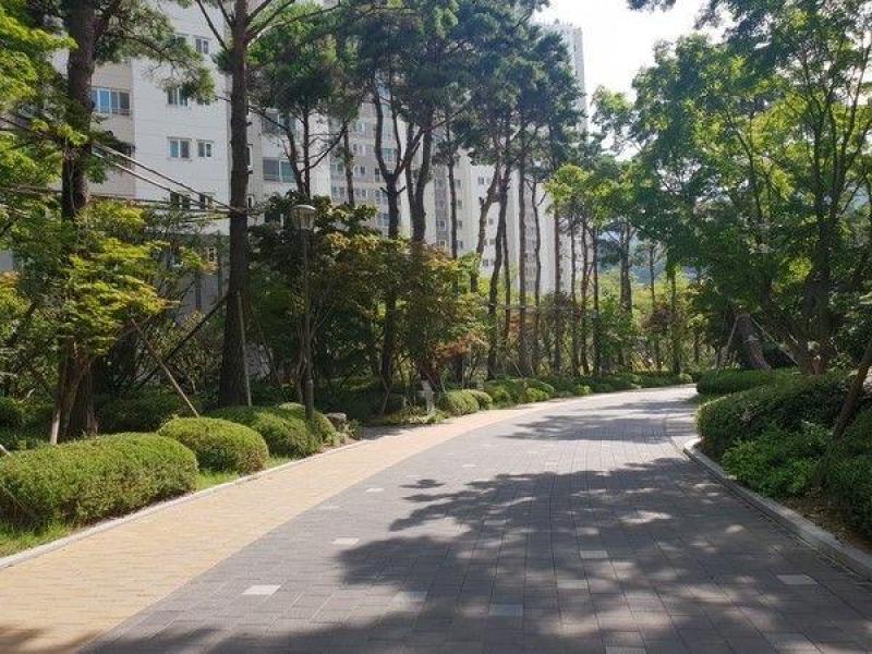 컨텐츠파일