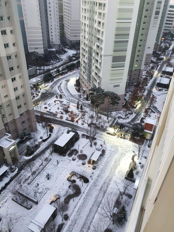 위례사랑