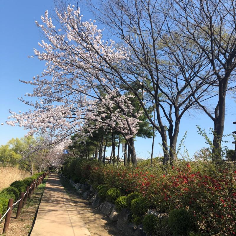 컨텐츠파일