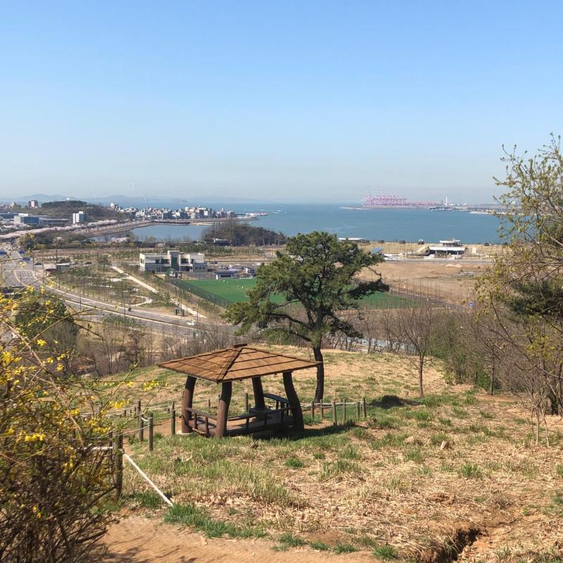 컨텐츠파일