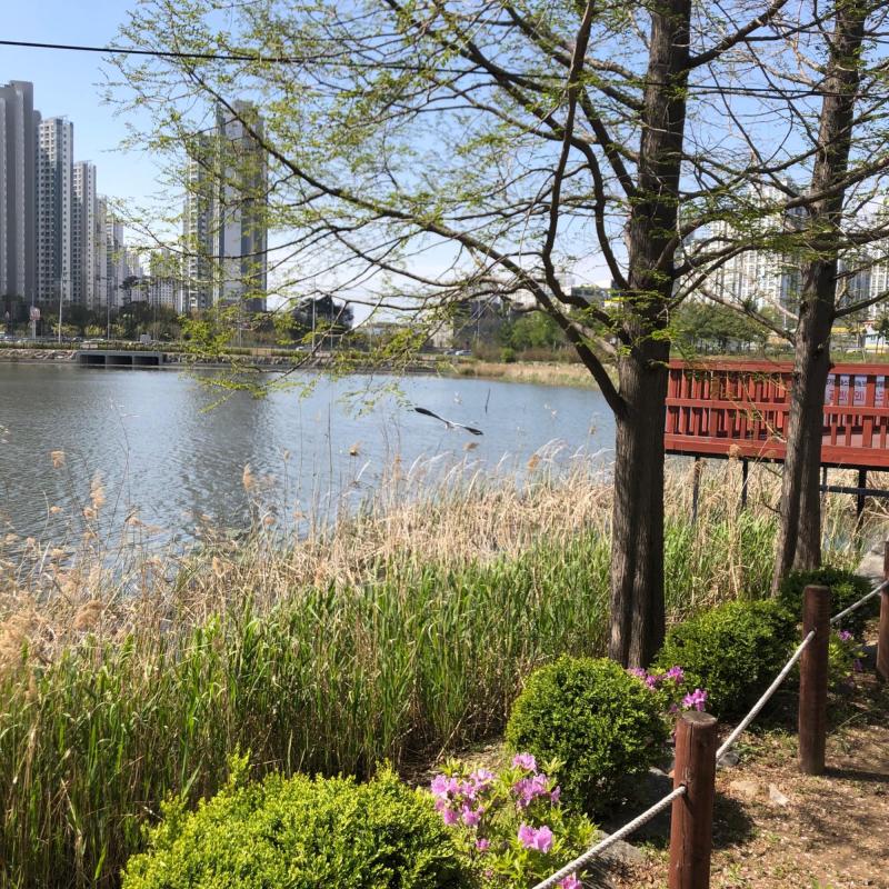 컨텐츠파일