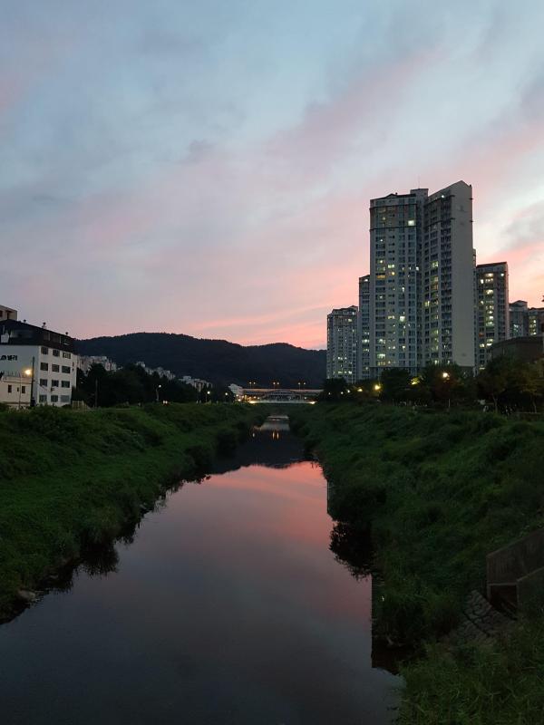 컨텐츠파일