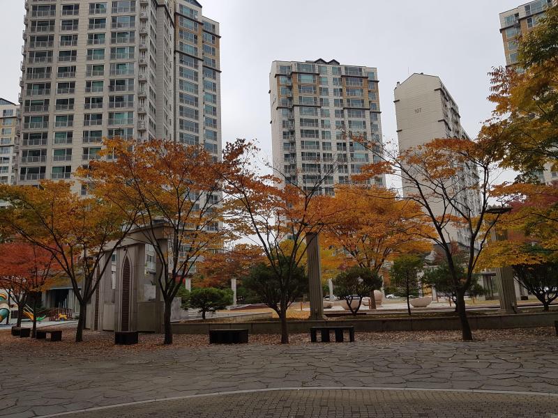 내멋대로