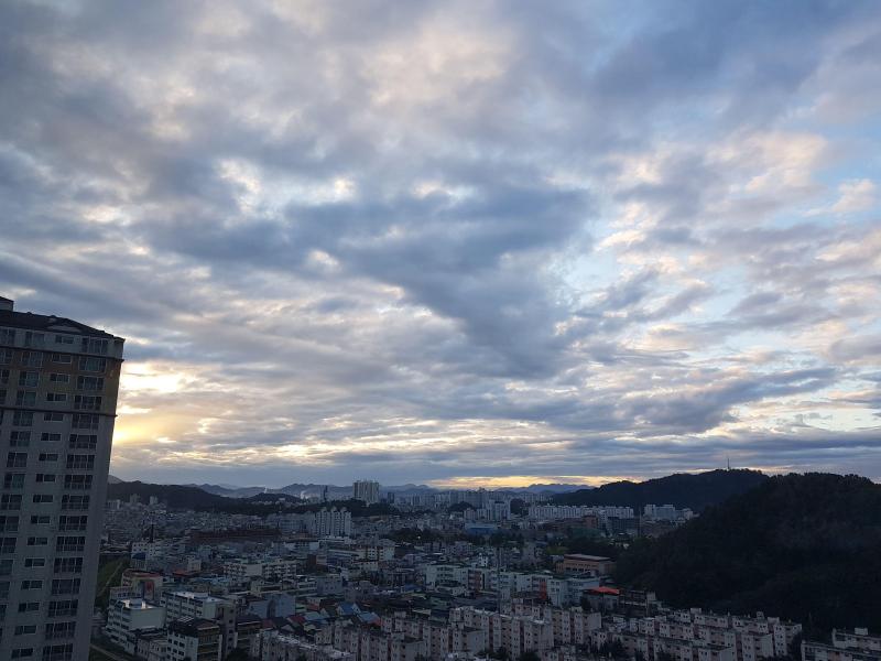 컨텐츠파일