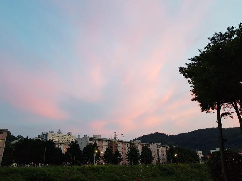 컨텐츠파일