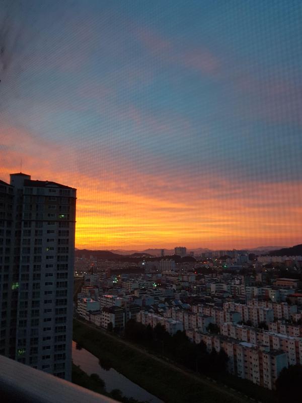 컨텐츠파일