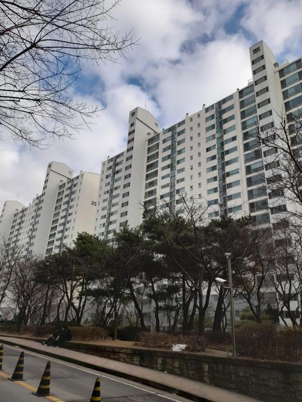 도리