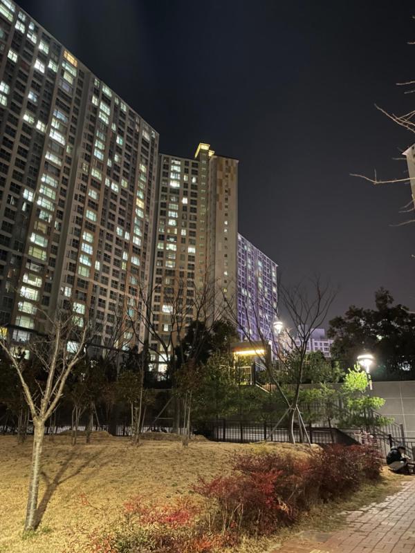 컨텐츠파일