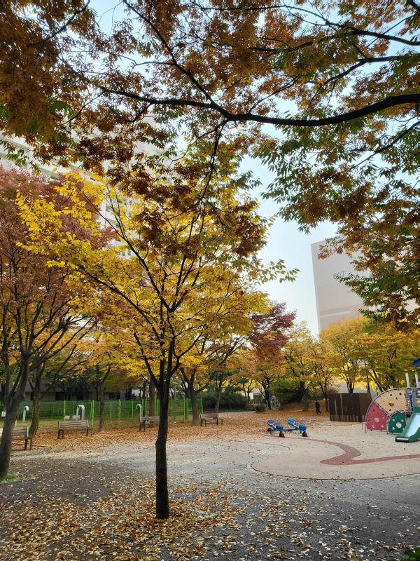 컨텐츠파일