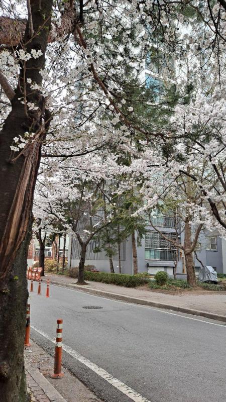 컨텐츠파일