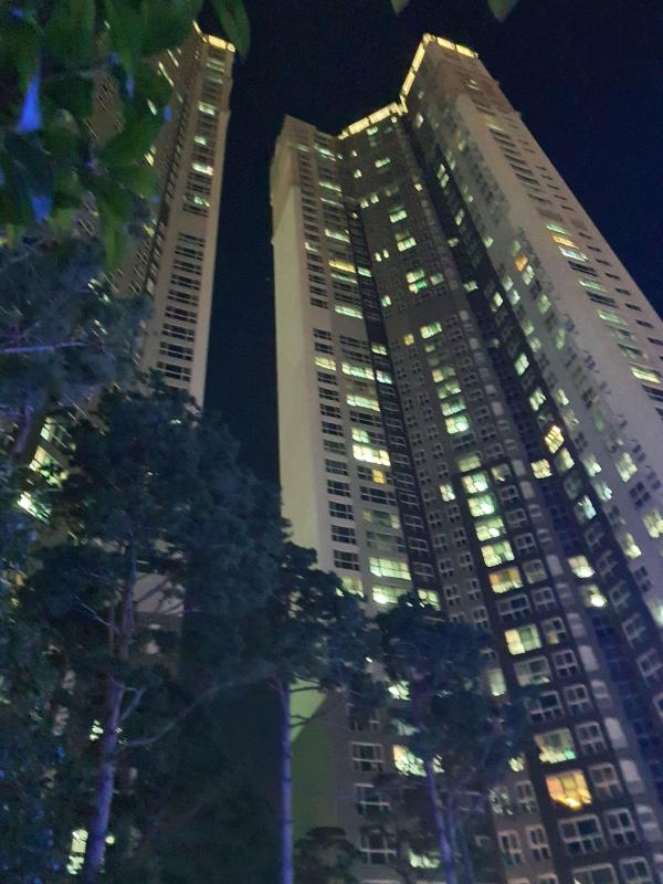 보라승주