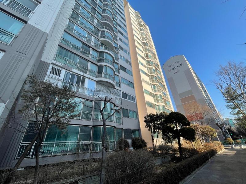 재빠른나무늘보남편