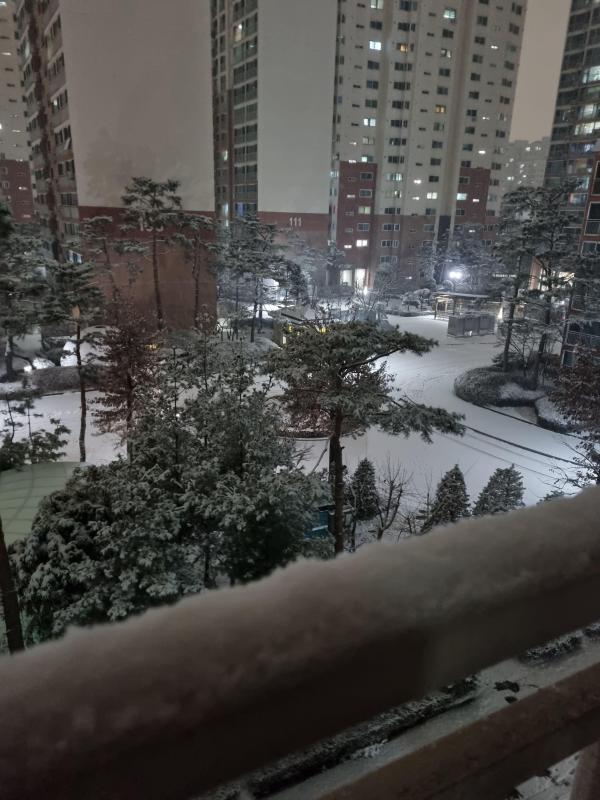 컨텐츠파일
