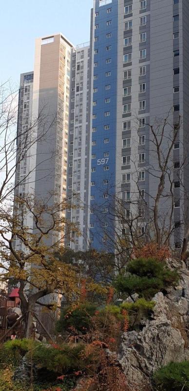컨텐츠파일