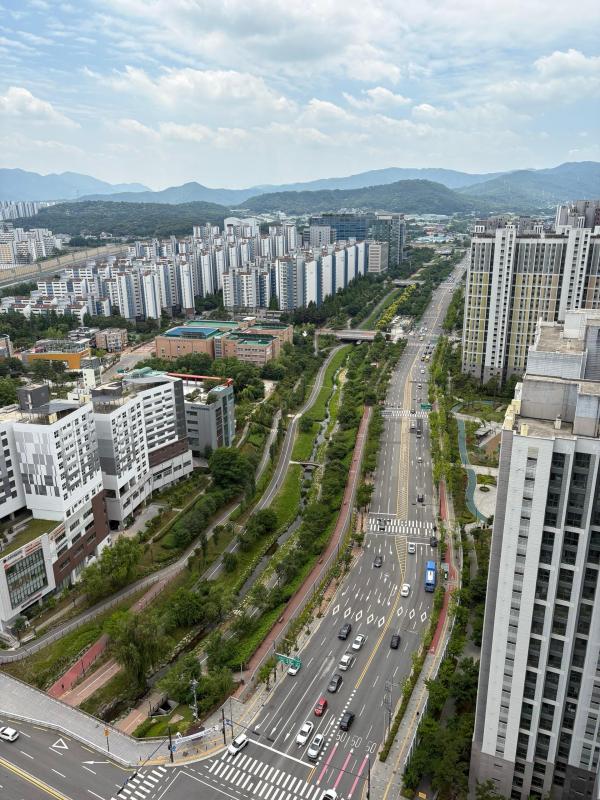 컨텐츠파일