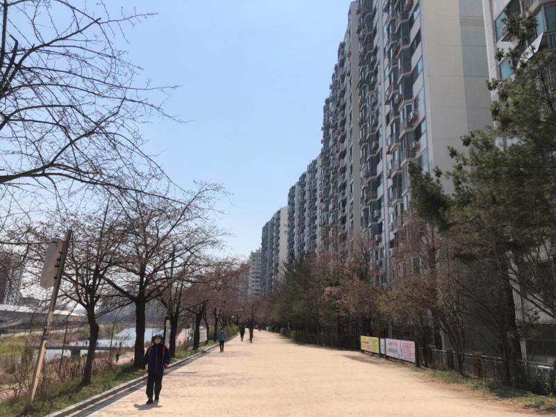 컨텐츠파일