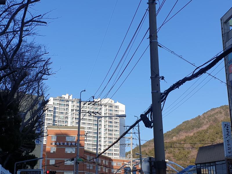 컨텐츠파일