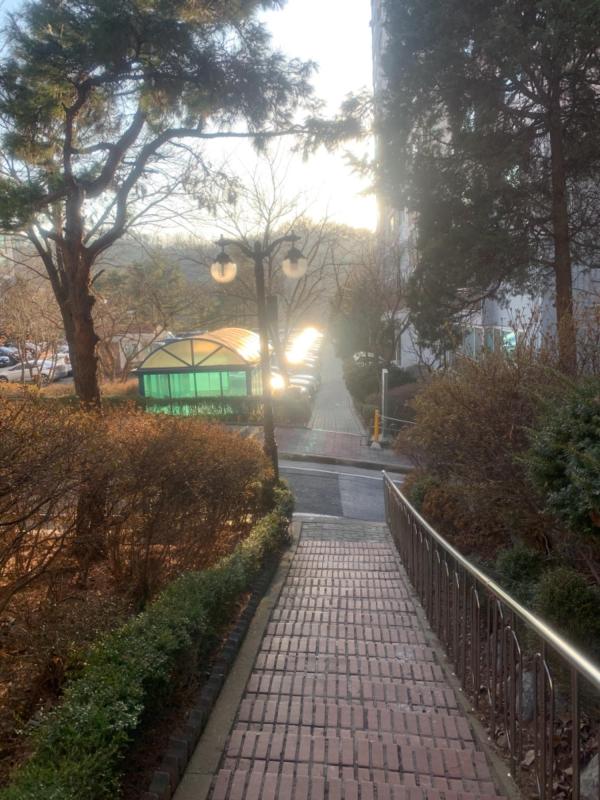 컨텐츠파일