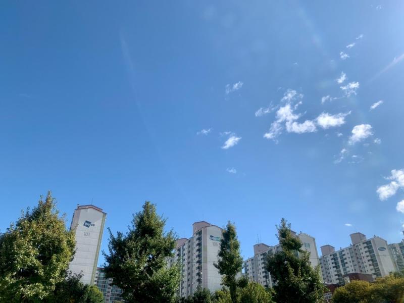 컨텐츠파일