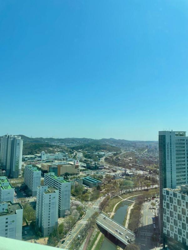 컨텐츠파일