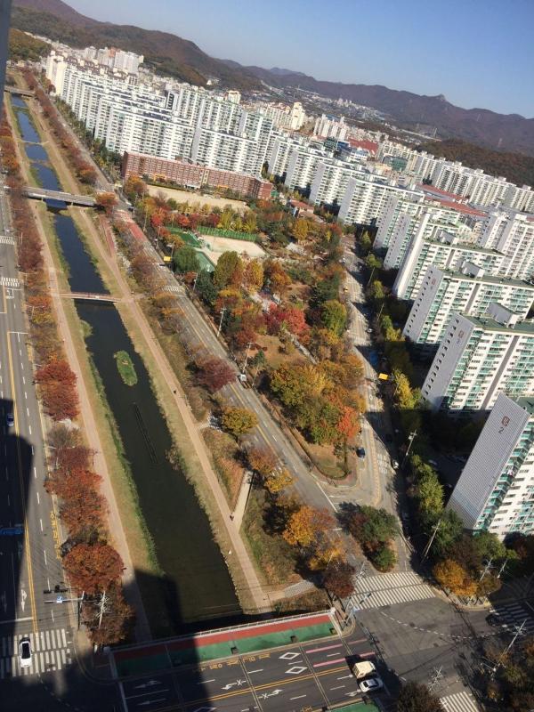 컨텐츠파일