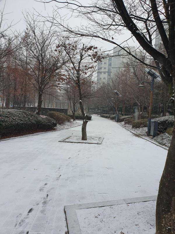 컨텐츠파일