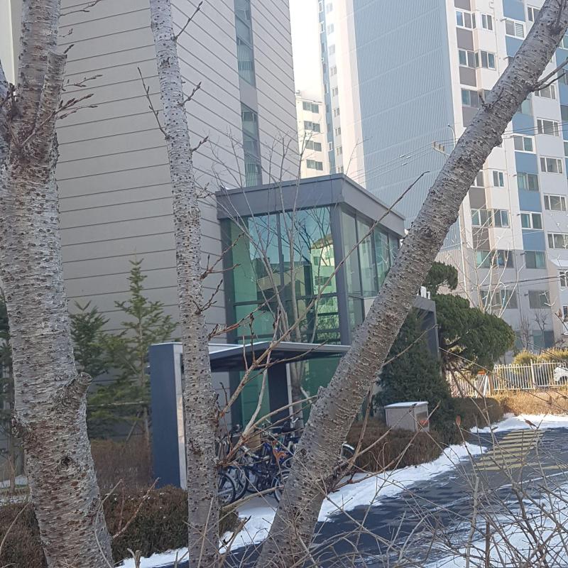 컨텐츠파일