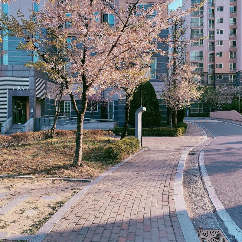 컨텐츠파일
