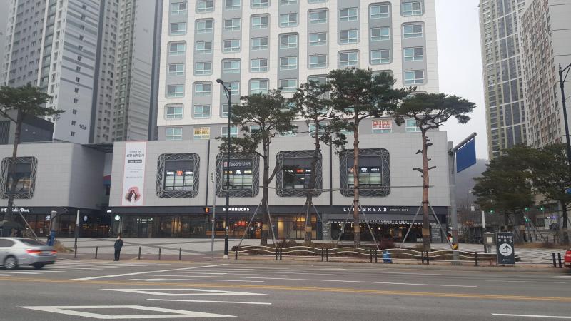 컨텐츠파일