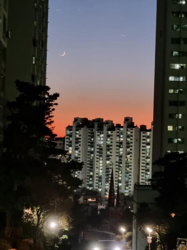 컨텐츠파일