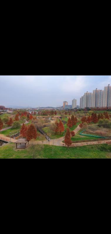 컨텐츠파일