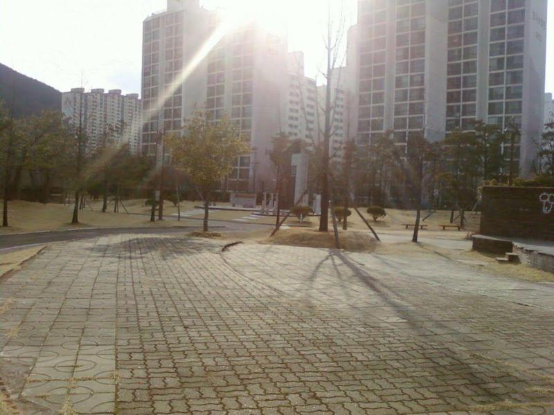 컨텐츠파일
