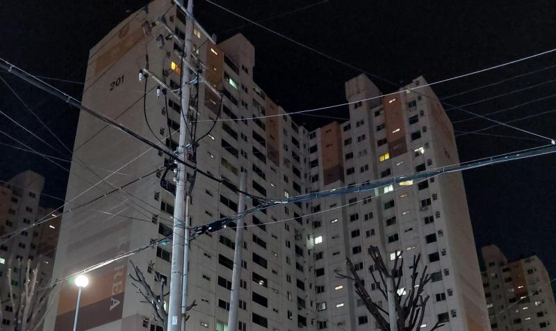 컨텐츠파일