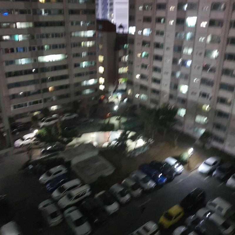욜로