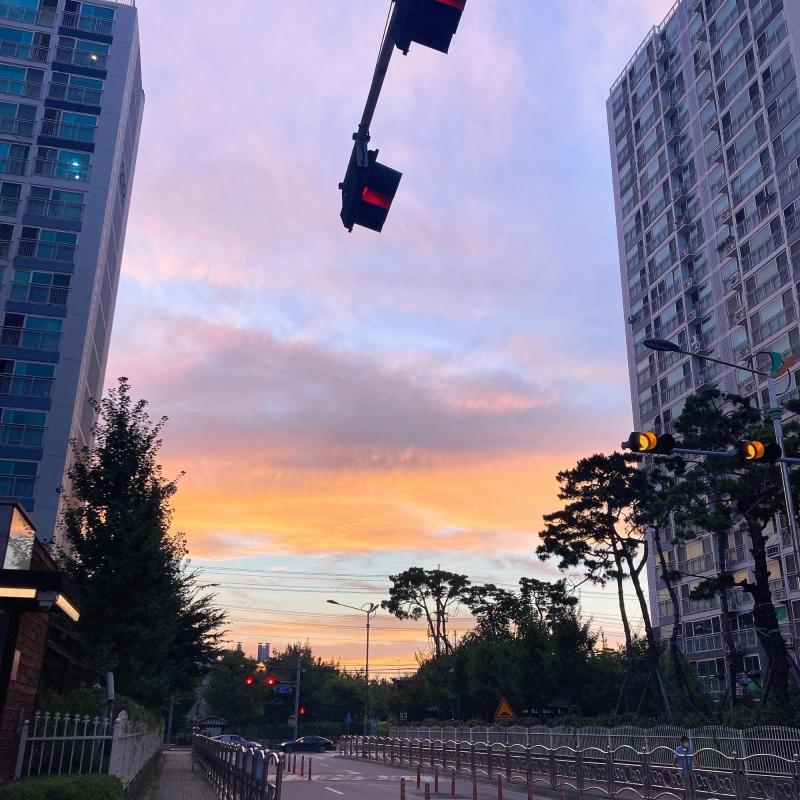 컨텐츠파일