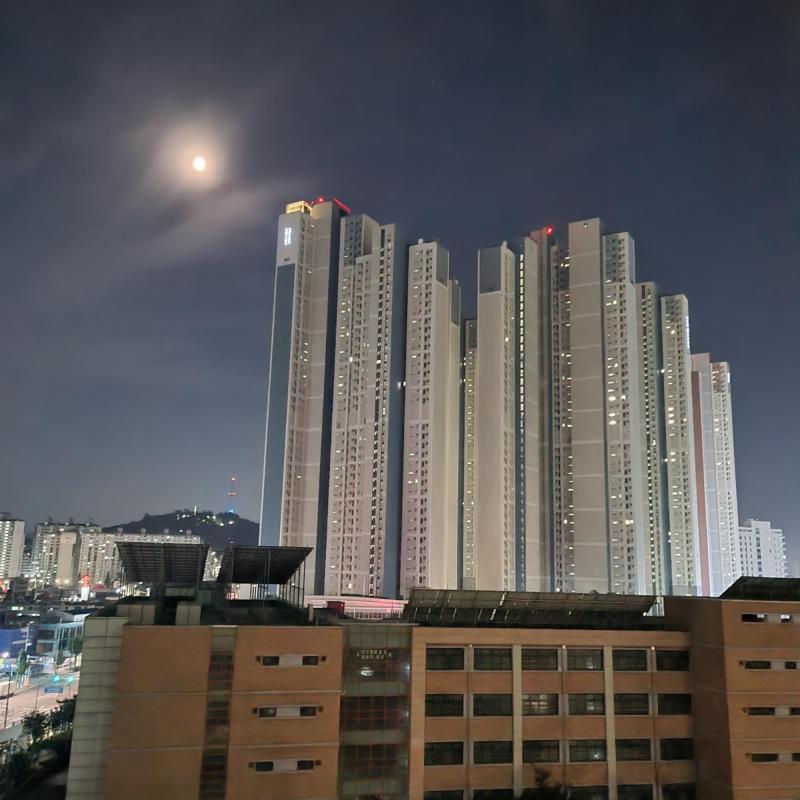 듀공이