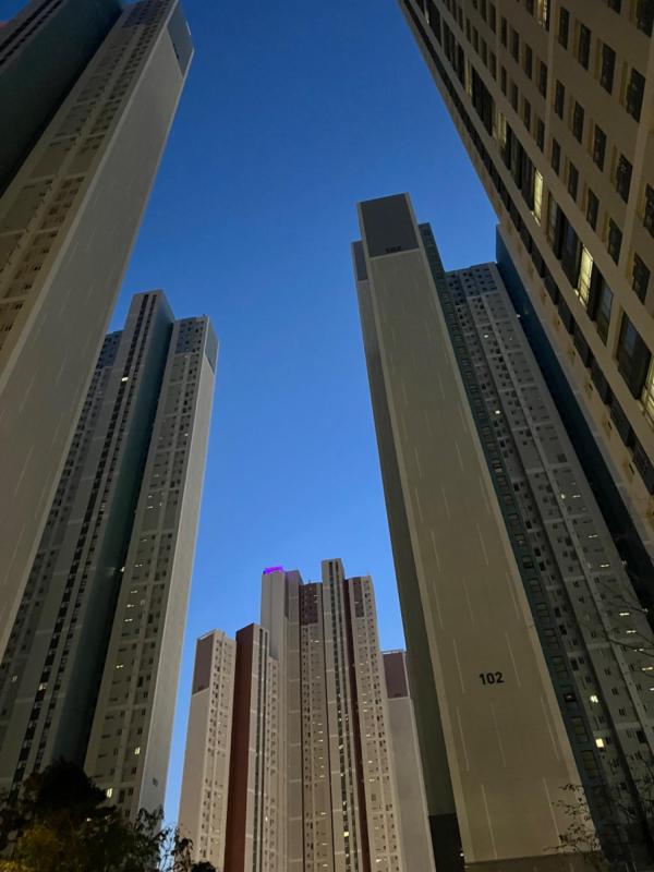 컨텐츠파일